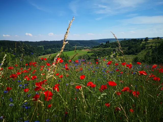 Landschaft und Ortsansicht der Gemeinde Berglen